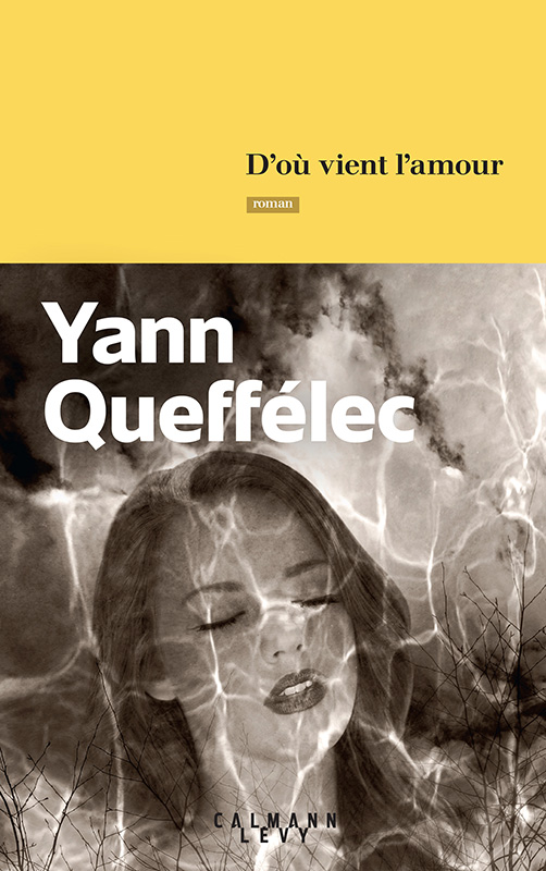 Yann Queffélec